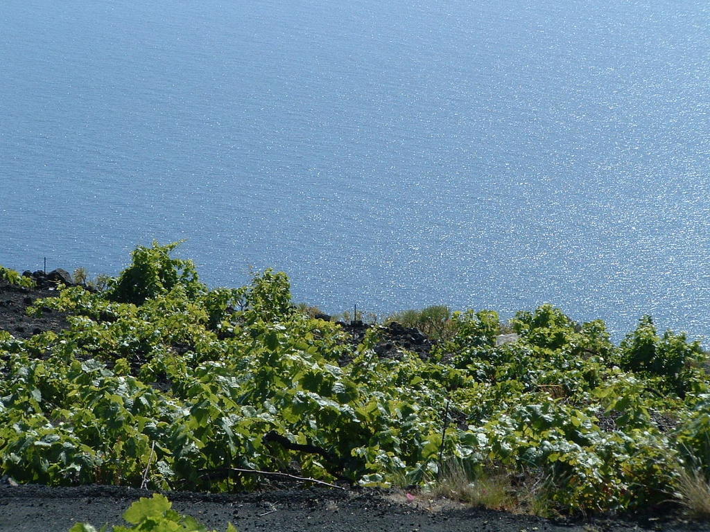 Casa Las Las Vinas Fuencaliente de la Palma Kültér fotó