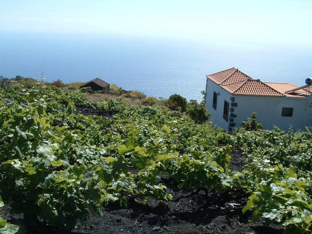 Casa Las Las Vinas Fuencaliente de la Palma Kültér fotó